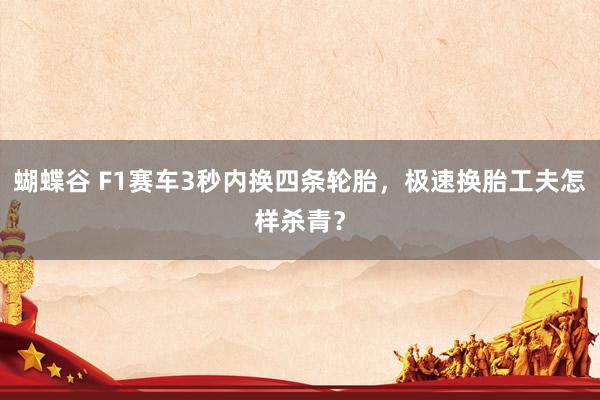 蝴蝶谷 F1赛车3秒内换四条轮胎，极速换胎工夫怎样杀青？