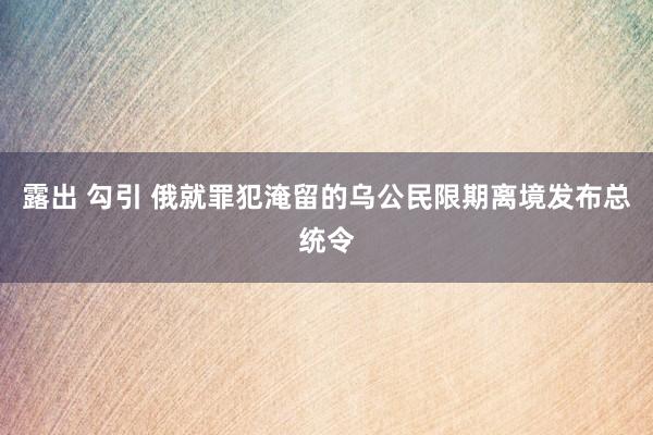 露出 勾引 俄就罪犯淹留的乌公民限期离境发布总统令