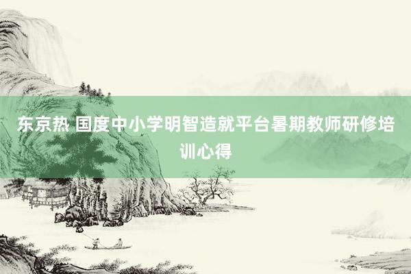 东京热 国度中小学明智造就平台暑期教师研修培训心得